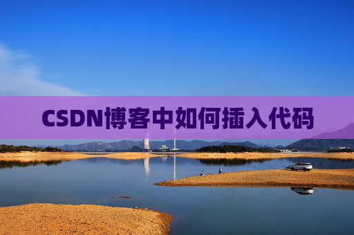 CSDN博客中如何插入代码